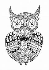 Coloring Owl Pages Mandala Zentangle Template Adults sketch template