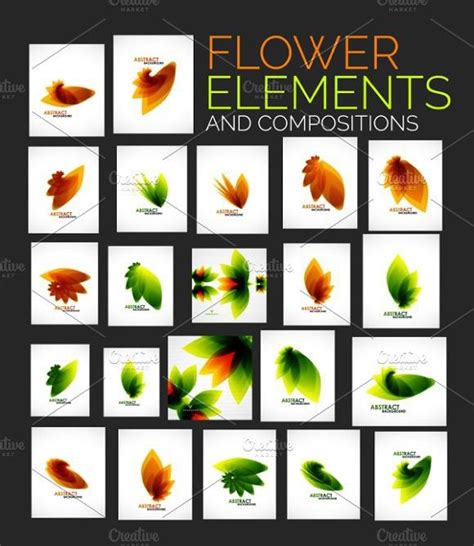 flower elements  compositions natural graphic design abstract
