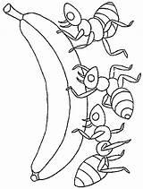 Coloring Ants Picnic Pages Popular sketch template