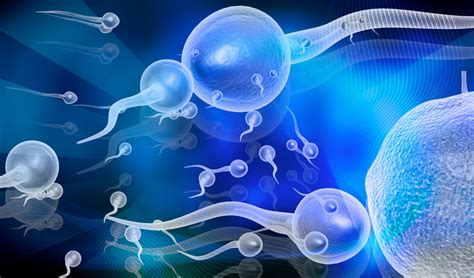 infertility 9 tips to boost your man s sperm count