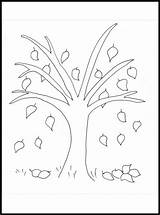 Montessorimaterial Träd årstider sketch template