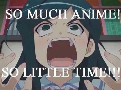 funny anime memes anime amino