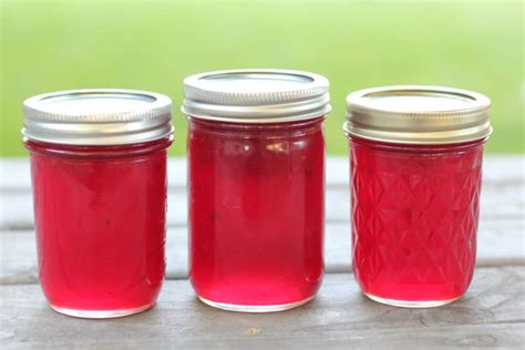 easy homemade jelly recipes creative homemaking