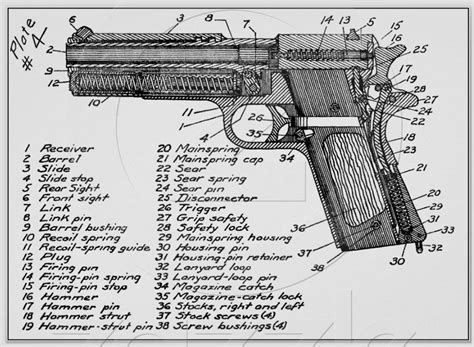 ammo  gun collector colt   auto pistol diagram