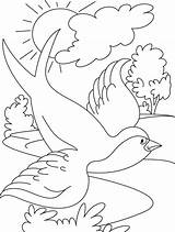 Swallow Pajaro Swallows Designlooter Heirs Worshiped Symbolize Happiness Uccelli sketch template