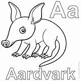 Aardvark Pages Sheets Coloringfolder sketch template