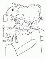 Sheep Domba Mewarnai Schaf Marimewarnai Shaun Popular Gaddynippercrayons sketch template