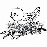 Nest Bird Coloring Pages Baby Cartoon Getdrawings Getcolorings Col Color Printable sketch template