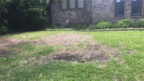 Revive Lawn S Dead Spots The Natural Way