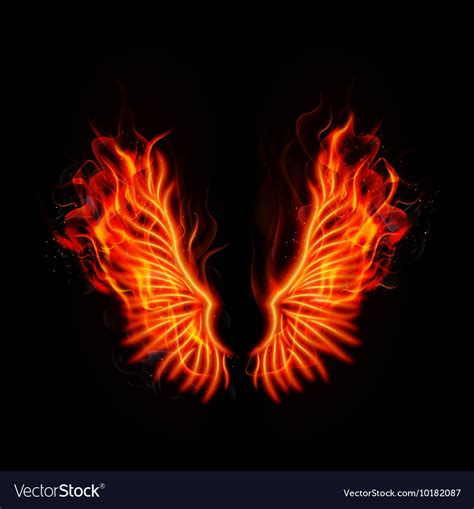 fire burning wings royalty  vector image vectorstock