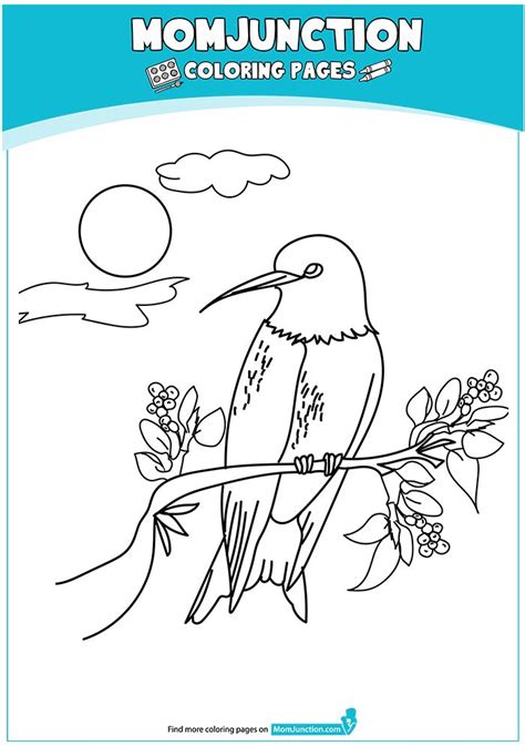 print coloring image momjunction coloring pages bird coloring page
