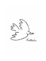 Dove Picasso Coloring Pages Peace Template sketch template
