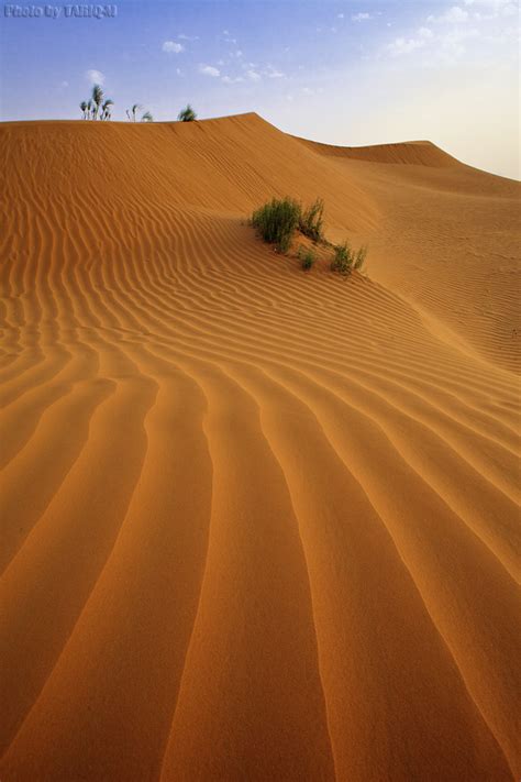 desert sand   site chose  photo     flickr
