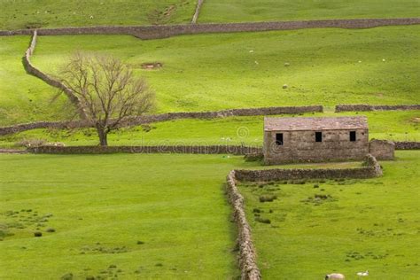 english farm stock image image  landscape hilly beautiful