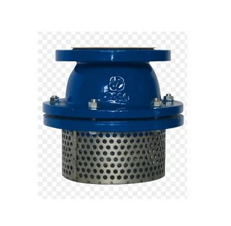 metallic ci pump foot valve size  mm metallic manufacturers id