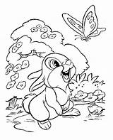 Coloring Disney Bunny Butterfly Cute Print sketch template