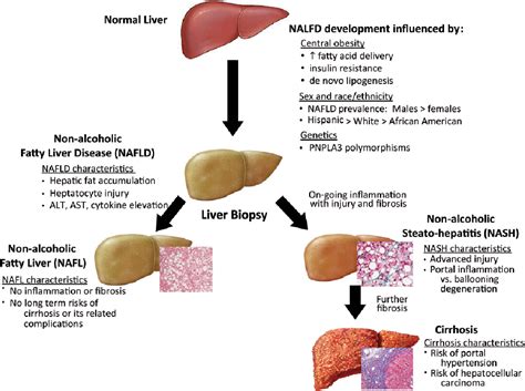 Clinical Features Of Pediatric Nonalcoholic Fatty Liver Disease