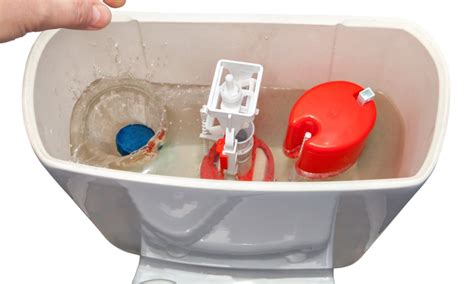 clean toilet tank step  step tutorial