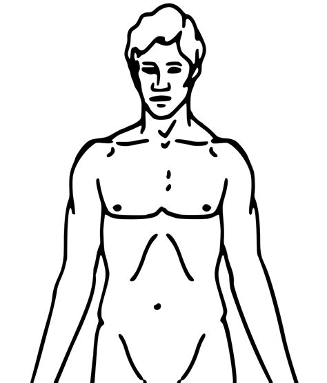 blank human body diagram outline jos gandos coloring pages  kids