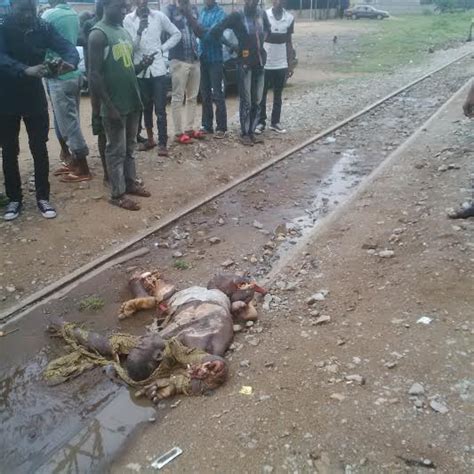 Graphic Photos Man Crushed By Train In Makurdi Yesterday