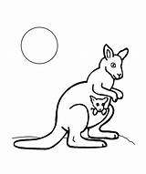 Cangur Kangur Colorat Kangaroo Desene Kolorowanki Planse Cangurul Animale Salbatice Canguri Kleurplaten Wydruku Imaginea Nr sketch template