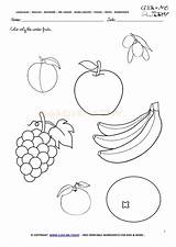 Fruits Winter Worksheet Only Color Worksheets Coloring sketch template