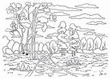 Malplaatje Kleuren Paisagem Foresta Floresta Coloration Paisaje Paisajes Calibre Pittura Alberi Paesaggio Modello Schilderen Arbusti Pine Landschap Bos Pijnboom Bomen sketch template