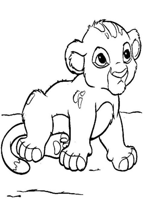 printable pictures  lions   printable pictures