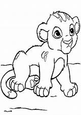Lion Cub Coloring Baby Clipart Kids Pages Cute Printable Drawing Clip Print Getdrawings Views Cliparts Drawings Clipground Coloringhome 91kb sketch template
