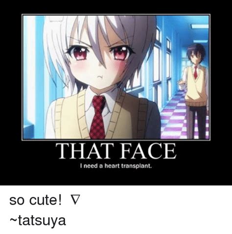 That Face I Need A Heart Transplant So Cute ≧∇≦ ~tatsuya