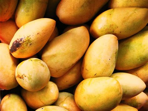 mango wallpapers high quality download free