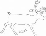 Reindeer Silhouettes Silhouette Outline Drawing Svg Vector sketch template