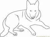 Shepherd Tiere Schäferhund Bestcoloringpagesforkids Malvorlagen Hunde Scooby Coloringpages101 sketch template