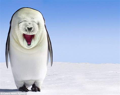 Artist Creates Penguin Seal Hybrids After Pictures Proved They Were