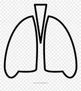 Lungs Printable Pinclipart Clipart sketch template