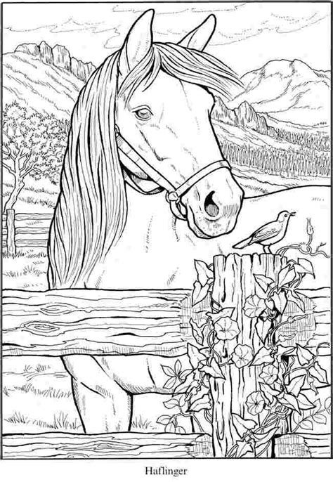 realistic coloring pages  horses callie pendergrass