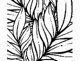 Tropical Leaves Coloring Pages Getcolorings Colo Color sketch template