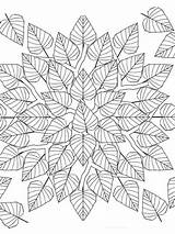 Coloring Pages Leaves Printable Leaf Print sketch template