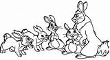 Lapins Rabbits Paques Conejos Colorear Colouring Lapin Imprimé Ad3 Jecolorie sketch template