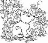 Wild Coloriage Realistic Animaux Enfant Mignon Albanysinsanity Coloringhome Carousel Intricate Suiting Detailed Bukaninfo Borop sketch template