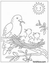 Bird Verbnow sketch template