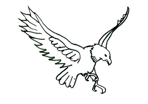 eagle flying drawing    clipartmag