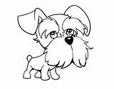 Schnauzer Coloring Colorear Para Perro Dibujos Outline シュナウザー Miniature Pages Line Coloringcrew Dogs Drawing Puppy Dog Mini Dibujo イラスト Perros sketch template