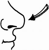 Coloring Pages Nose Body Human sketch template