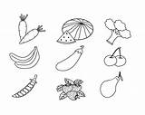 Vegetable Freecoloring sketch template