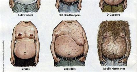 The Mad Magazine Guide To Man Boobs You Know In Case You Were