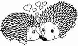 Hedgehog Arici Erizo Colorat Hedgehogs Planse Colouring Desene Imagini Plansa Erizos Salbatice Animale Ariciul Puercoespin Veverita sketch template