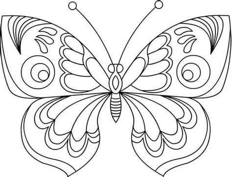 detailed butterfly coloring pages  adults butterfly coloring page