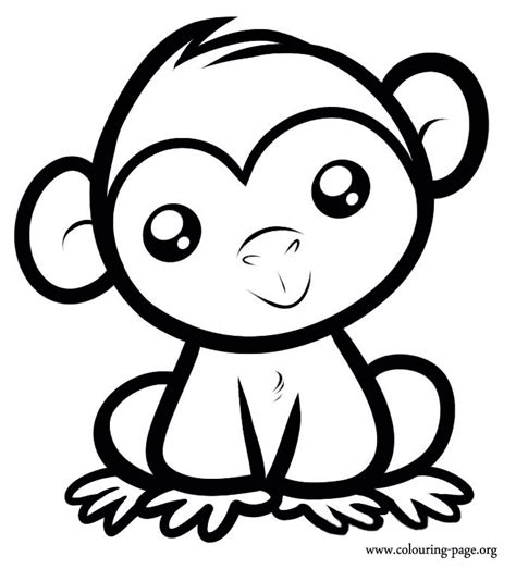 special  monkey monkey coloring pages easy animal