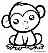 Coloring Pages Easy Monkey Little Cute Animal Kids Draw Sheets Drawings Animals Special Discover sketch template
